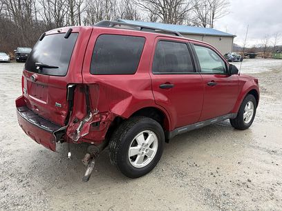 Used 2010 Ford Escape XLT