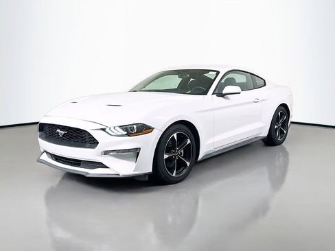 Used 2019 Ford Mustang Coupe RWD image 4