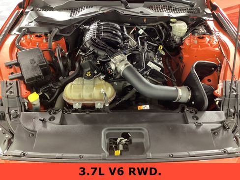 Used 2015 Ford Mustang Coupe image 11