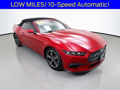 Used 2024 Ford Mustang Premium image 1