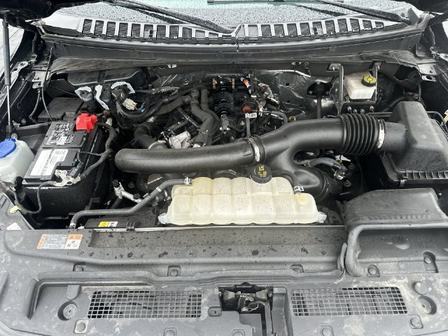 Used 2024 Ford Expedition XLT AWD/4WD image 19