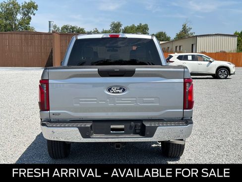 Used 2025 Ford F150 XLT w/ Equipment Group 301A Standard AWD/4WD image 6