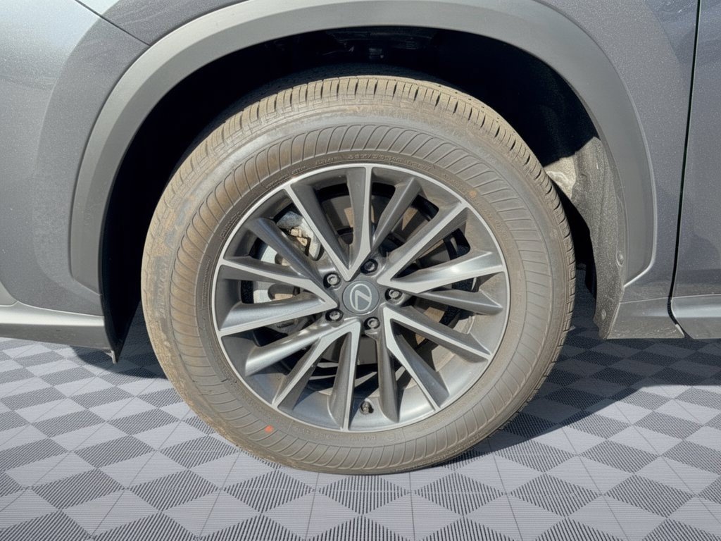 Certified 2026 Lexus NX 350 AWD w/ Cold Area Package image 14