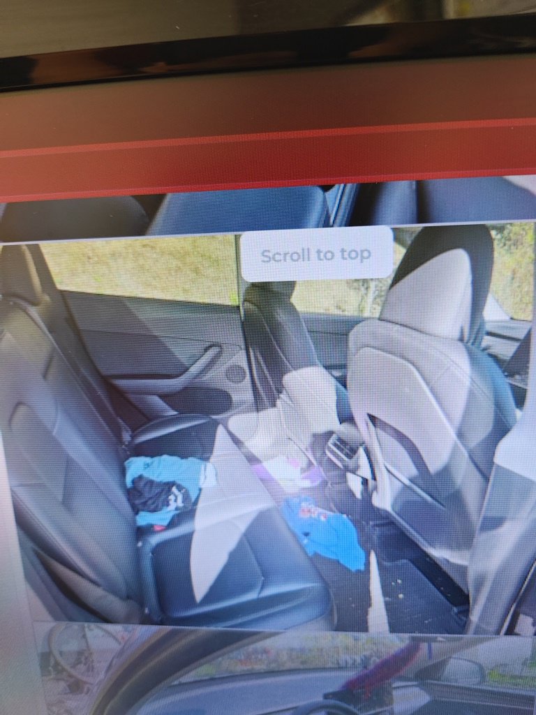 Used 2024 Tesla Model Y Performance AWD/4WD image 6