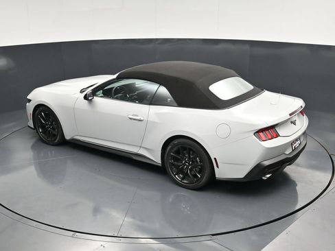 New 2026 Ford Mustang Convertible w/ Mustang Nite Pony Package RWD image 52