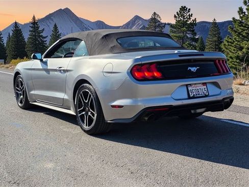 Used 2023 Ford Mustang Premium image 4