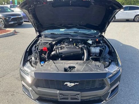 Used 2024 Ford Mustang Premium RWD image 19