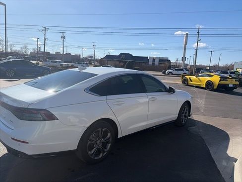 Used 2025 Honda Accord EX-L image 5
