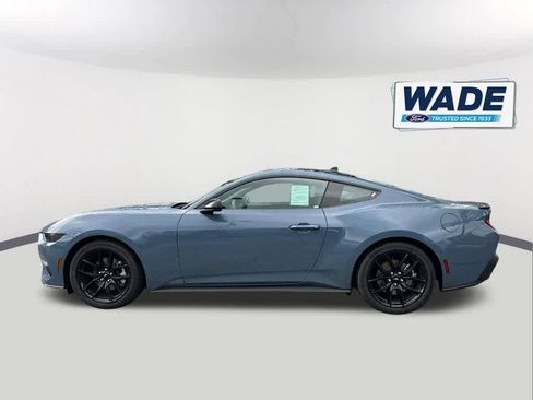 New 2026 Ford Mustang Coupe w/ Mustang Nite Pony Package RWD image 8