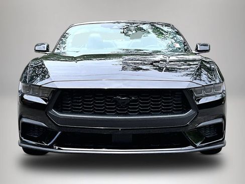 Used 2025 Ford Mustang Premium w/ Mustang Nite Pony Package RWD image 3