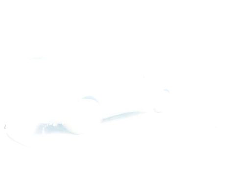 Used 2019 BMW X5 xDrive40i w/ Luxury Seating Package image 34