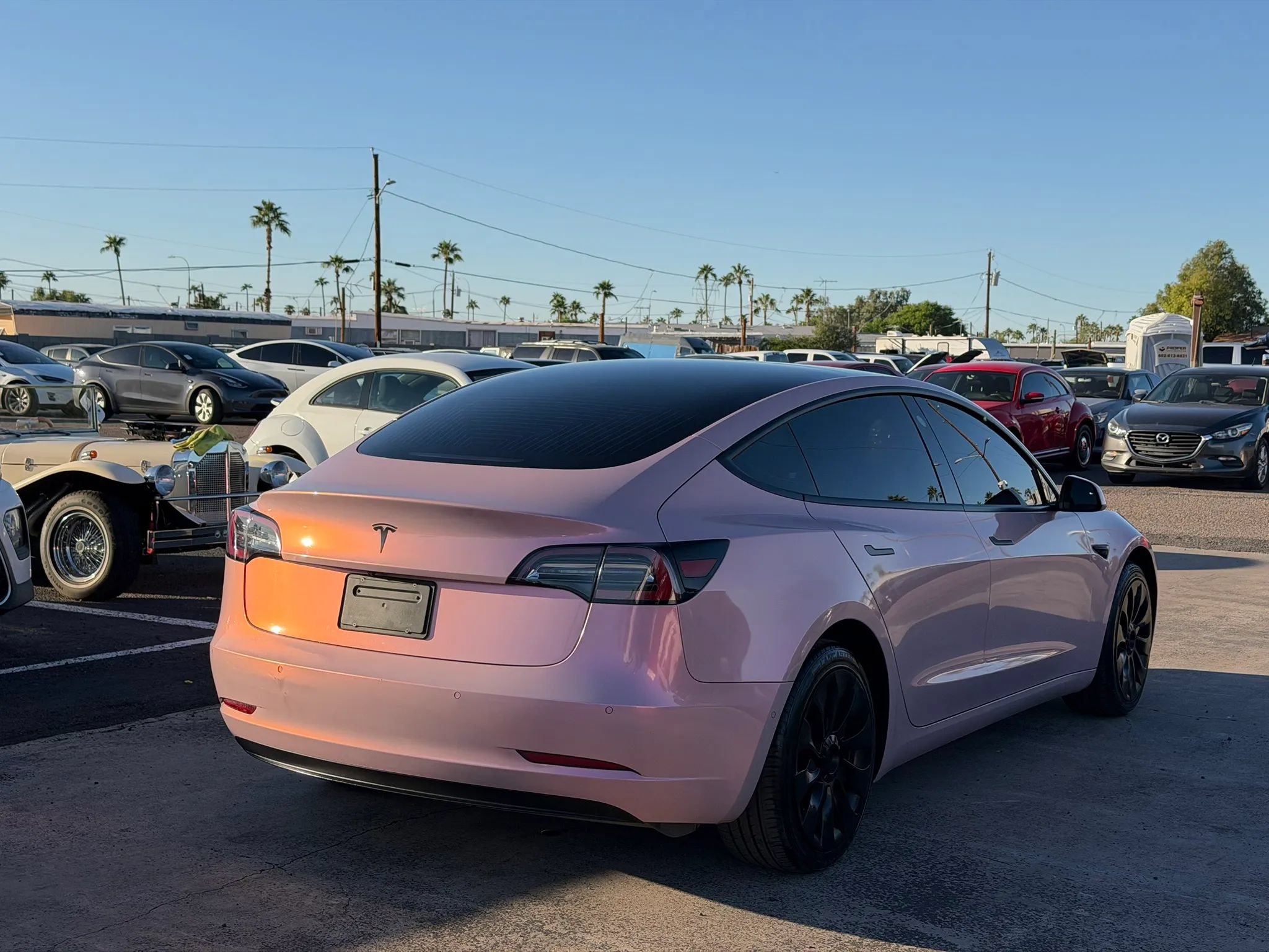 Used 2020 Tesla Model 3 Standard Range Plus RWD image 10
