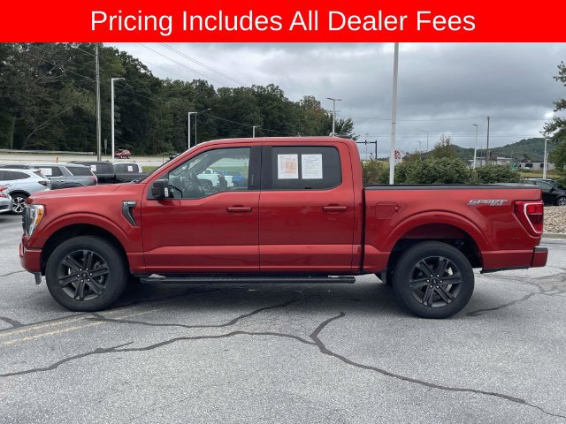 Used 2023 Ford F150 XLT w/ Equipment Group 302A High AWD/4WD image 2