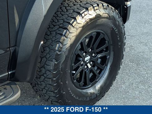 Used 2025 Ford F150 Raptor image 12