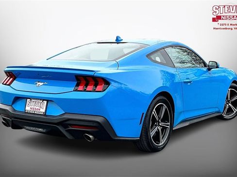 Used 2024 Ford Mustang Premium image 6