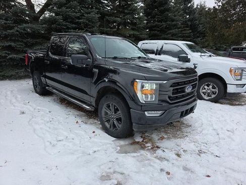 Used 2023 Ford F150 XLT w/ Equipment Group 302A High image 2