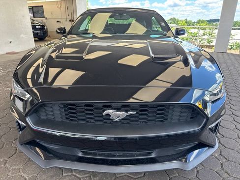 Used 2019 Ford Mustang Premium RWD image 2