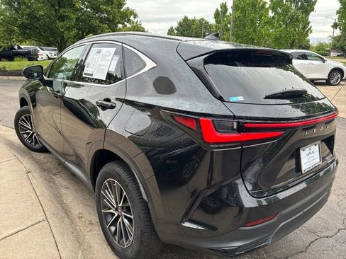 Used 2024 Lexus NX 350h AWD image 5