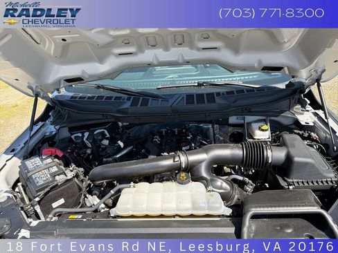Used 2025 Ford F150 XLT w/ Equipment Group 301A Standard AWD/4WD image 14