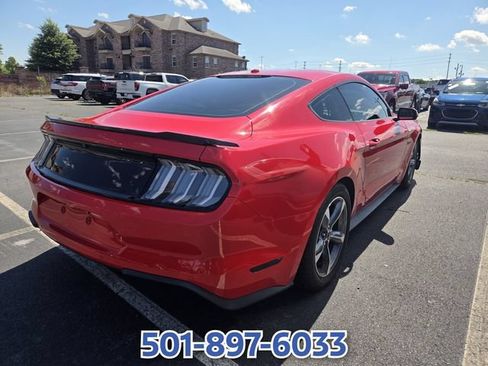 Used 2019 Ford Mustang GT w/ Equipment Group 301A RWD image 5