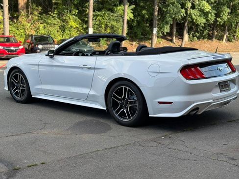 Used 2022 Ford Mustang Premium w/ Equipment Group 201A image 12