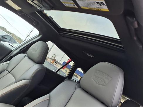 New 2025 Subaru Outback Wilderness w/ Wilderness Package image 8