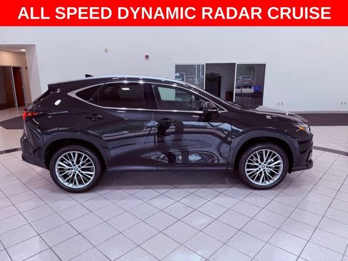 Certified 2025 Lexus NX 350h AWD w/ Cold Area Package image 9