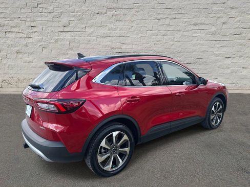 Used 2024 Ford Escape Platinum w/ Premium Technology Package image 5