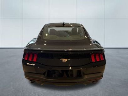 New 2026 Ford Mustang Premium
