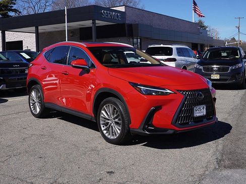 Used 2025 Lexus NX 350 AWD w/ Cold Area Package image 2