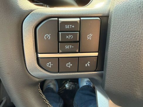 Used 2025 Ford F250 Lariat AWD/4WD image 29