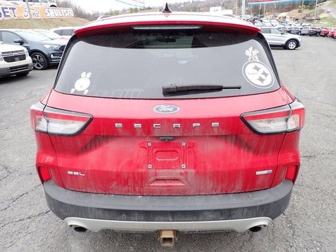 Used 2020 Ford Escape SEL image 4