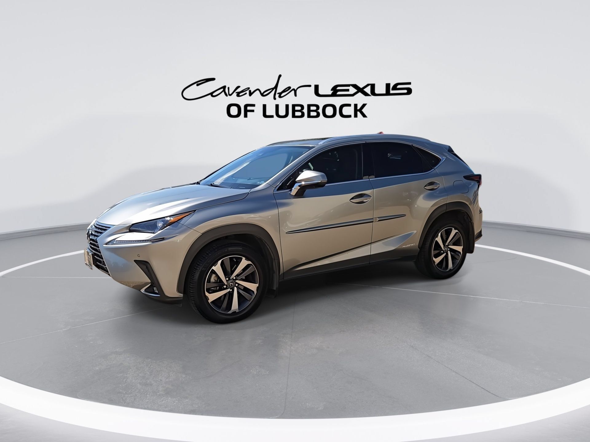 Used 2020 Lexus NX 300h AWD w/ Premium Package image 5