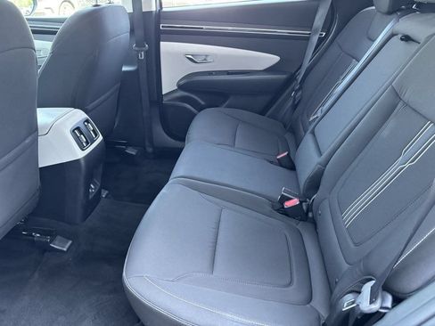 Used 2024 Kia Sportage X-Line w/ X-Line Premium Package AWD/4WD image 18