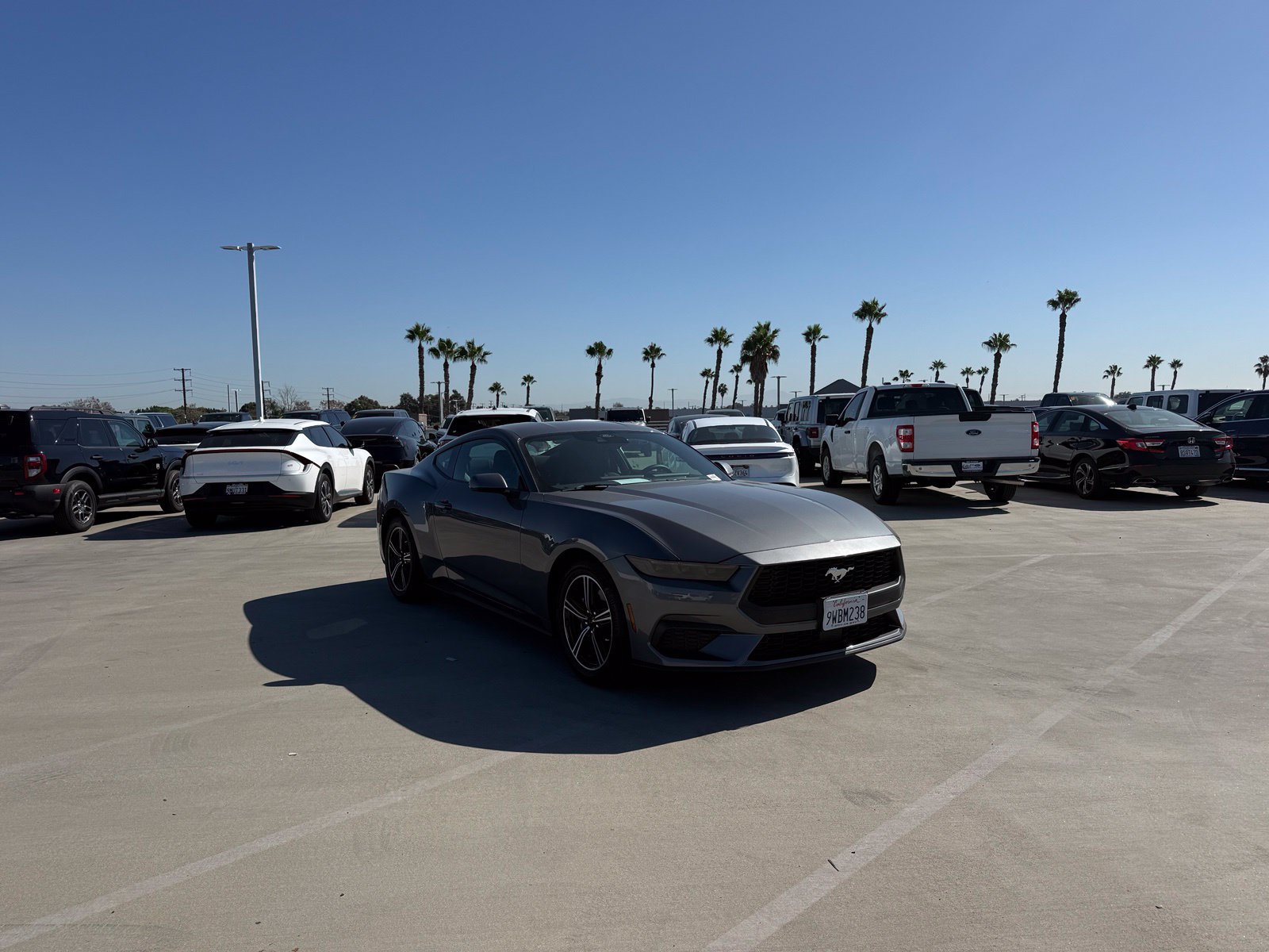 Used 2025 Ford Mustang Coupe RWD image 4