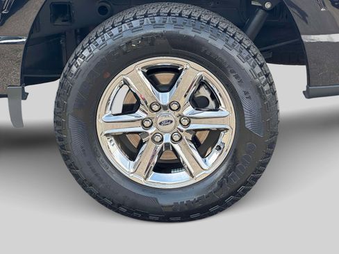 Used 2025 Ford F150 XLT w/ Equipment Group 301A Standard AWD/4WD image 8