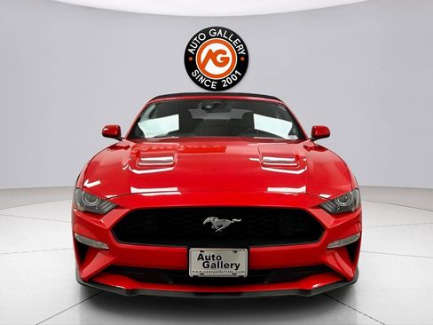 Used 2023 Ford Mustang Premium image 2