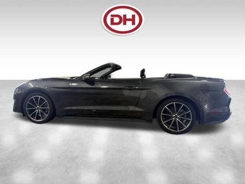 Used 2019 Ford Mustang Premium w/ Equipment Group 201A RWD image 8