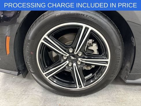 Certified 2025 Ford Mustang Premium RWD image 2