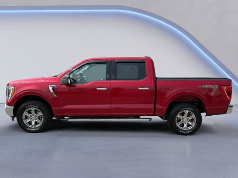 Used 2021 Ford F150 XLT w/ Equipment Group 302A High AWD/4WD image 6