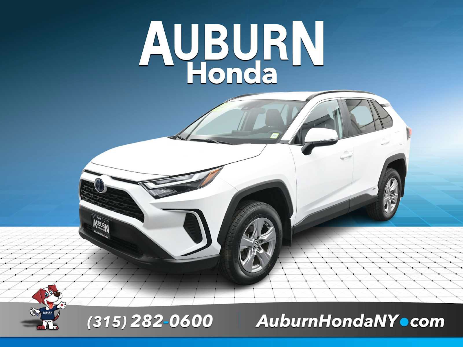 Used 2023 Toyota RAV4 LE AWD/4WD image 1