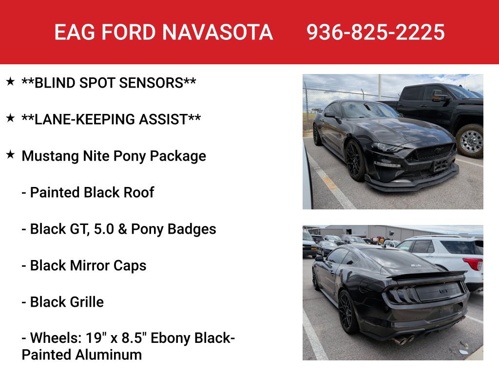Used 2023 Ford Mustang GT Premium w/ Mustang Nite Pony Package RWD image 8
