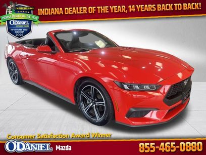 Used 2025 Ford Mustang Premium