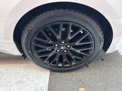 Used 2016 Ford Mustang GT w/ GT Performance Package image 18