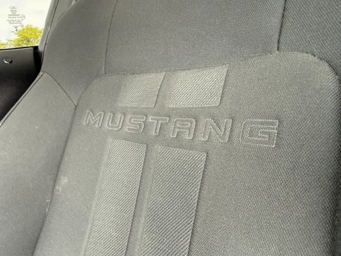 Used 2019 Ford Mustang GT w/ Equipment Group 301A RWD image 28