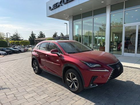 Used 2020 Lexus NX 300h AWD w/ Luxury Package image 3
