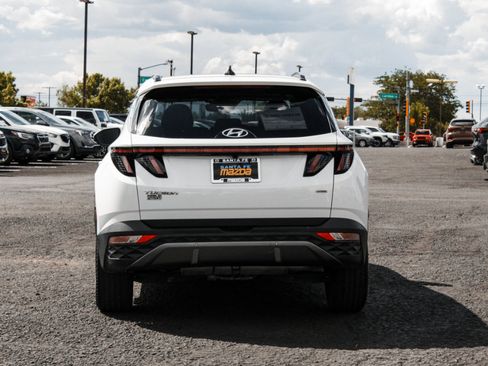 Used 2023 Hyundai Tucson Limited AWD/4WD image 6