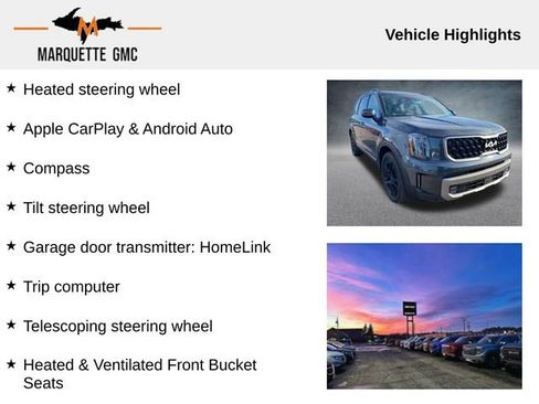 Used 2023 Kia Telluride SX image 12