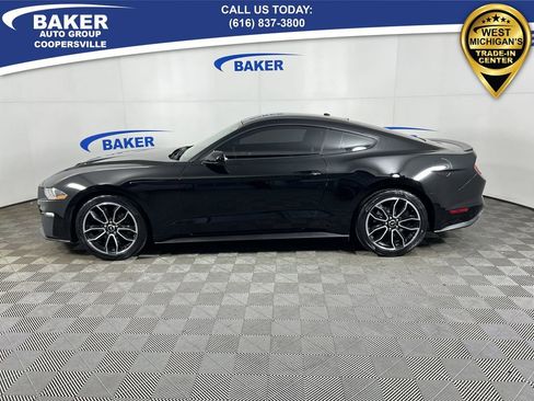 Used 2019 Ford Mustang EcoBoost w/ Equipment Group 101A image 6
