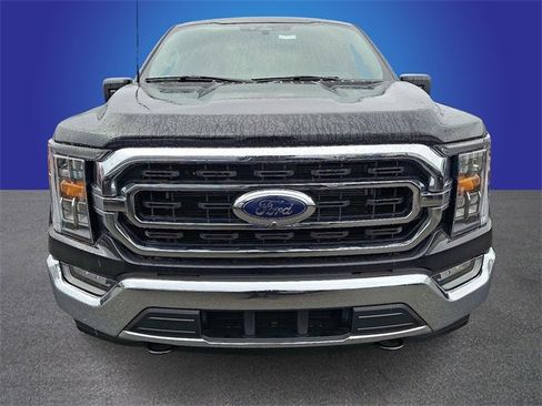 New 2023 Ford F150 XLT w/ Equipment Group 302A High image 2